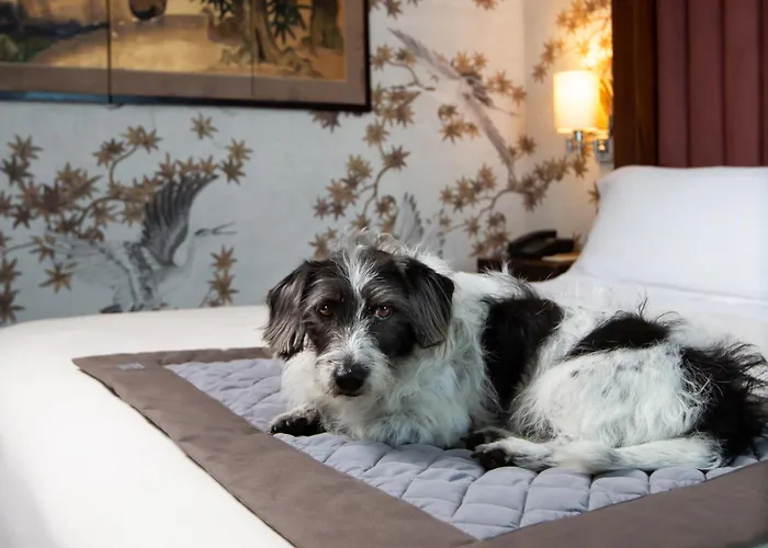 Enterprise Design & Boutique Ξενοδοχείο